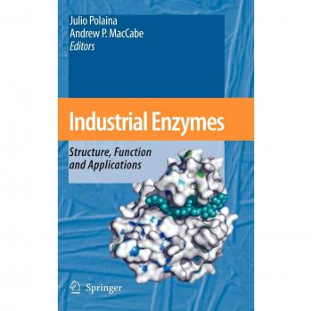 Industrial Enzymes: Structure, Function, and Applications Guide