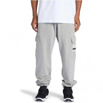 Pantalón de Chándal DC Shoes Havoc Cargo