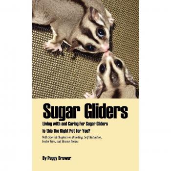 Sugar Gliders: A Comprehensive Guide to Care and Ownership