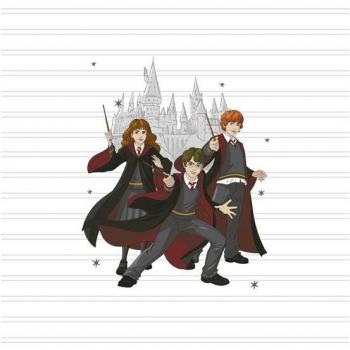 Colcha Bouti Harry Potter Team de Algodón Orgánico y Peinado, Modelo Exclusivo para Cama de 90 (190x270cm)
