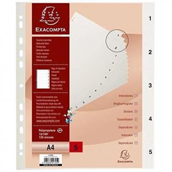 Separadores Exacompta Gris A4 (20 Unidades)