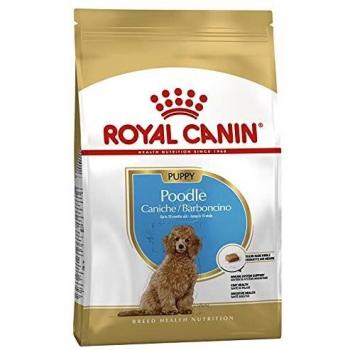ROYAL CANIN BHN Caniche Puppy 3000 g