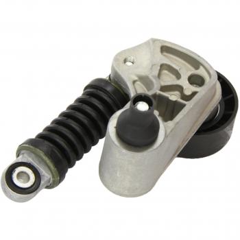 Mapco 24164 Tensor de correa, correa poli V