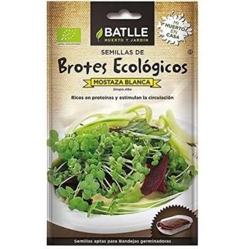 BROTES MOSTAZA BLANCA - ECO
