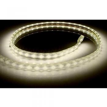 Tira LED Regulable 220V AC Blanco Cálido 3000K IP65 10W 840 lm (1 m) Cortable cada 100 cm Ancho 14 mm