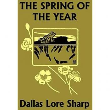 The Spring of the Year: Classic Nature Studies by Dallas Lore Sharp