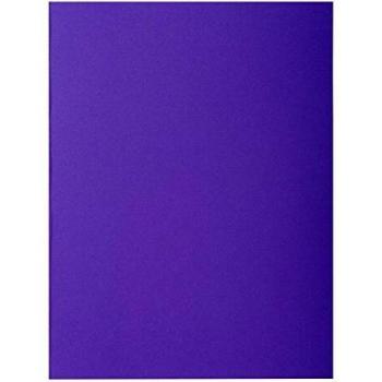 Exacompta 217108E - Lote de 10 Subcarpetas RockS 220, Color Morado
