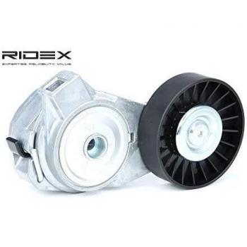 RIDEX 540T0012 Brazo tensor, correa trapezoidal