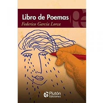 Libro de poemas