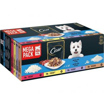 Cesar Senior 10+ en gelatina - 40 x 100 g