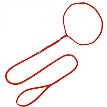 Arppe 2373010006 Collar Correa Nylon Exposición, Naranja