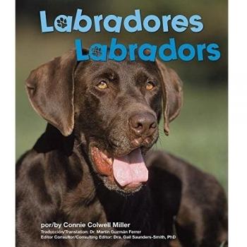 Labradores/ Labradors