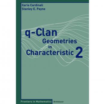q-Clan Geometries in Characteristic 2