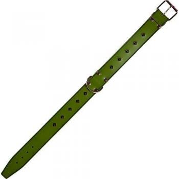 Arppe 195384065124 Collar Fornitura Cuero Forro 3D Amazone, Verde y Azul
