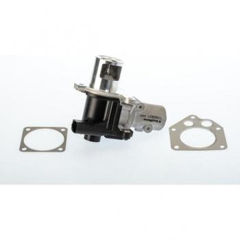 Válvula EGR BorgWarner Wahler 710928D