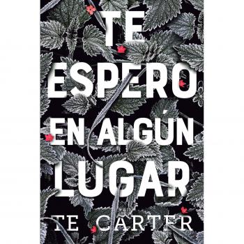 Me detengo en algún lugar