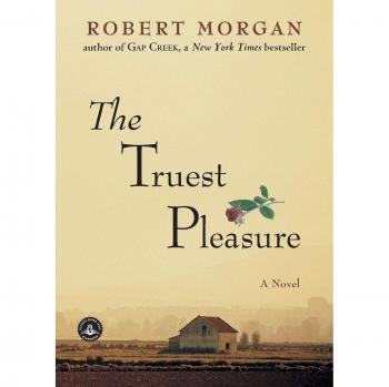 The Ultimate Satisfaction: A Comprehensive Guide by Robert Morgan