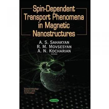 Spin s12 dependent phenomena of fermions in magnetic nanostructures nanoelements nanotechnology science technol
