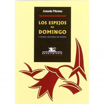 Los Espejos Del Domingo