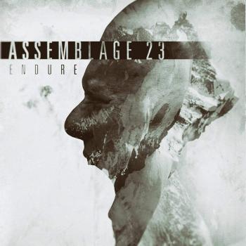 Endure vinyl