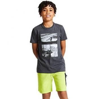 Dare2b Go Beyond-Camiseta Informal Estampada De Algodón T-Shirts/Polos/Vests, Niños, Charcoal Grey, 11-12