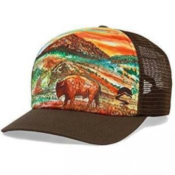 Sunday Afternoons - Gorra de Camionero Unisex, Unisex Adulto, S3A04641B30207, Bison Sunset Trucker, Talla única