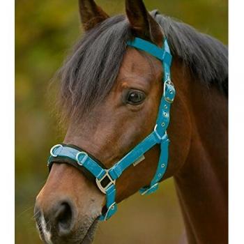 Cavesson Económico de Nylon Waldhausen - Azul Cielo (VB)