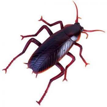 Party Fiesta Mega Cucaracha Asquerosa