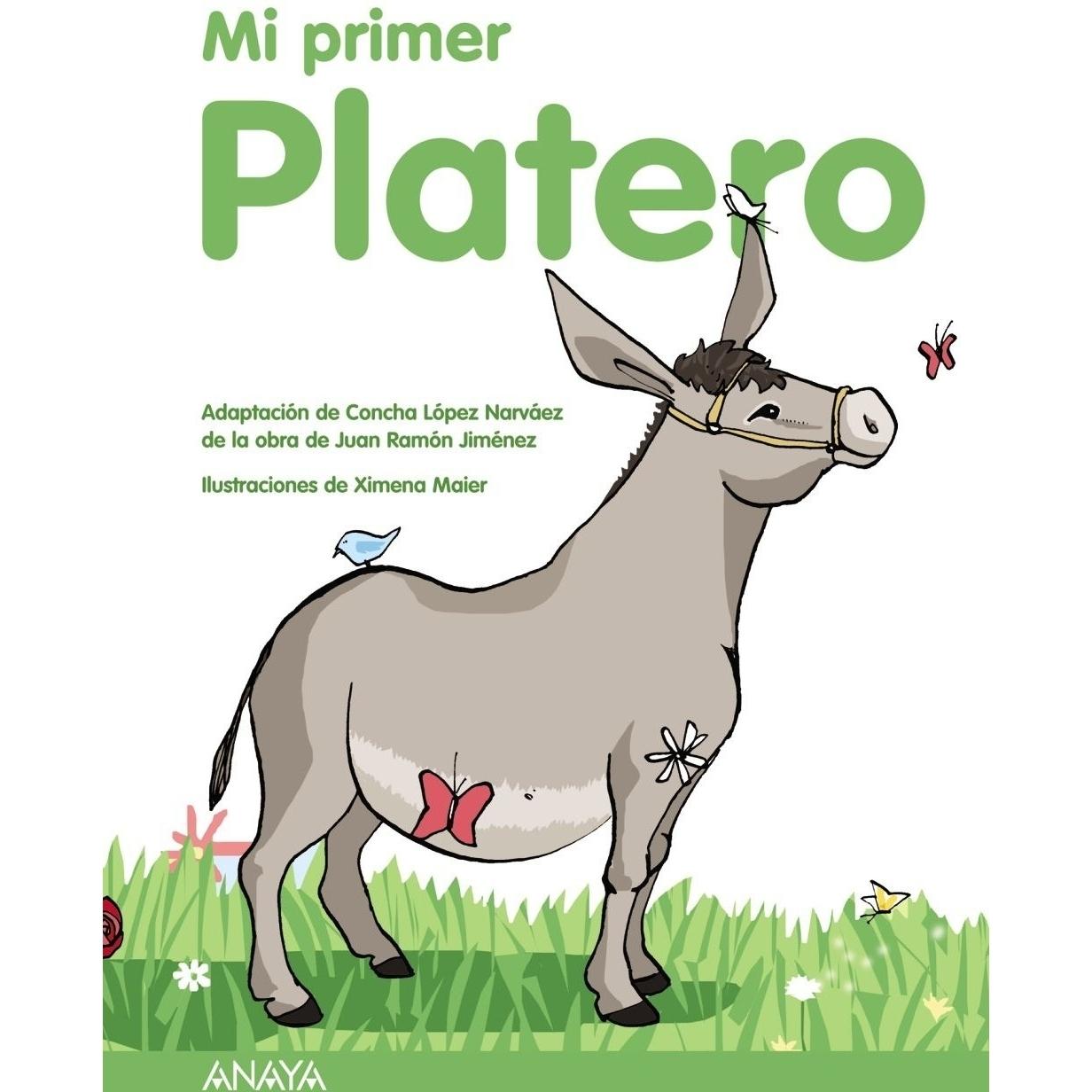 Imagen Principal