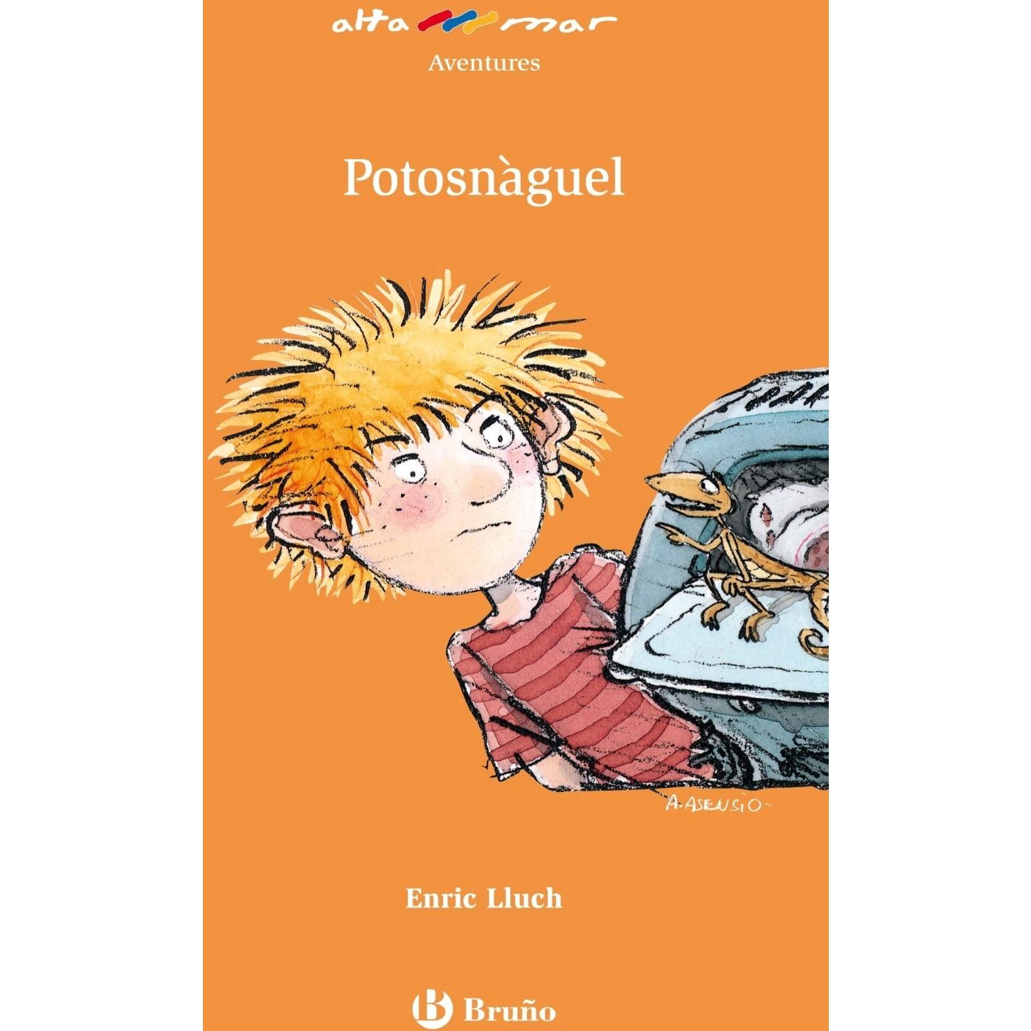 Imagen Principal