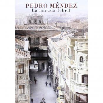 LA MIRADA FEBRIL: PEDRO MENDEZ