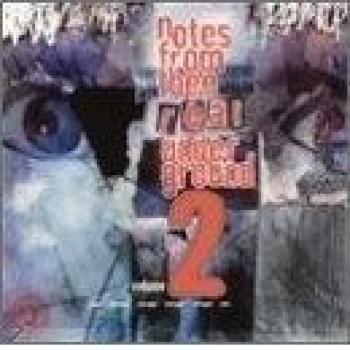 Vol. 2-Notes from Thee Real un