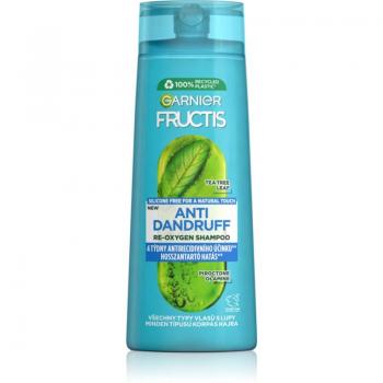 Garnier Fructis Champú Anticaspa Re-Oxígeno 250 ml para Todos los Tipos de Cabello