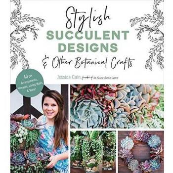 Stylish Succulent Designs