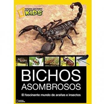 Bichos asombrosos. El fascinante mundo de arañas e insectos - Varios Autores
