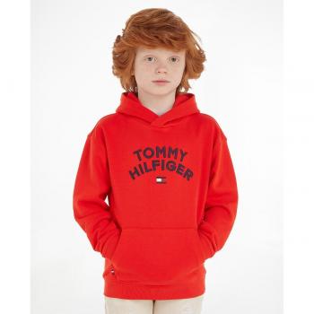 Sudadera flag Tommy Hilfiger