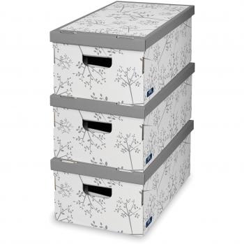 Domopak Living 914575, Set de 3 Cajas de Autoensamblaje Bon Ton, Colores Surtidos