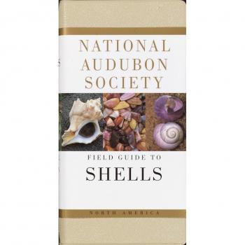 The Audubon Society Field Guide to North American Seashells