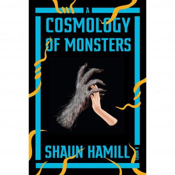 A Cosmology of Monsters