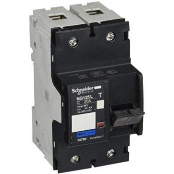Interruptor magnetotérmico NG125L 2P 20A curva C - Schneider Electric