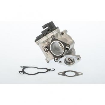 Válvula EGR BorgWarner (Wahler) 710945D/1