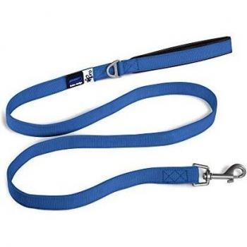 Basic Leash Blue M