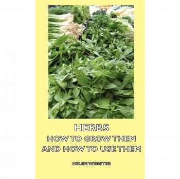 Herbs Guide: Cultivation and Usage by Helen Webster