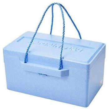 Nevera portátil de espuma Captain Stag 18L M-8170 azul