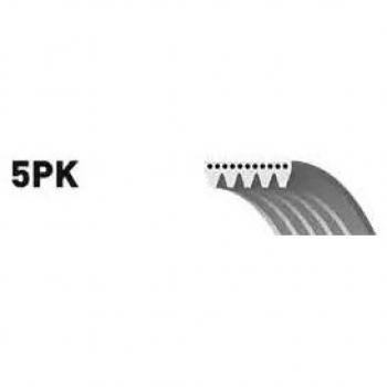 Correa trapecial poli V SNR CA5PK1138