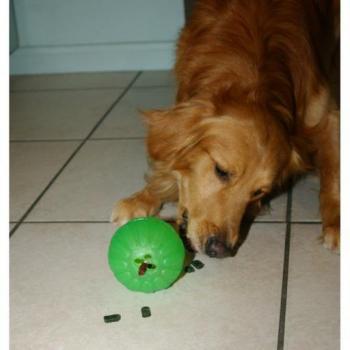 Starmark Treat Dispensing Chew Ball