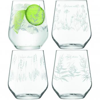 LSA International RBG Kew vaso de cristal con 420 ml juego de 4, transparente