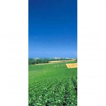 PeelitStickit id-0897 60 x 130 cm, altura hermosa naturaleza Mural de pared de vinilo de alta calidad
