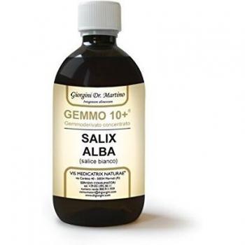 Salice Bianco 500ml Líquido Analco Gemmo 10+ - Dr. Giorgini