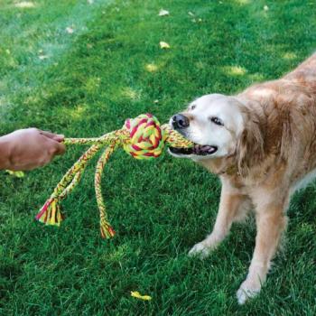 KONG Wubba Weaves con cuerda para Perros